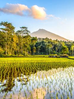 Indonesia, Nusa Tenggara, Lombok
