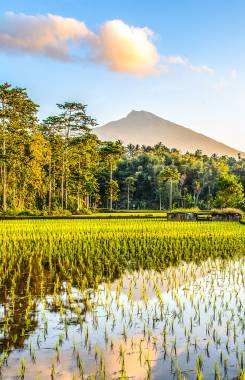 Indonesia, Nusa Tenggara, Lombok