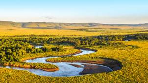 MAASAI MARA