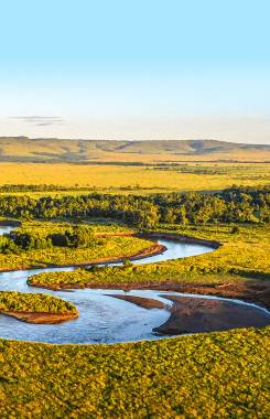 Kenia, Maasai Mara