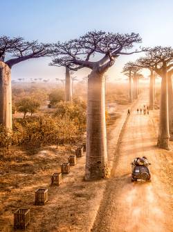 Madagascar