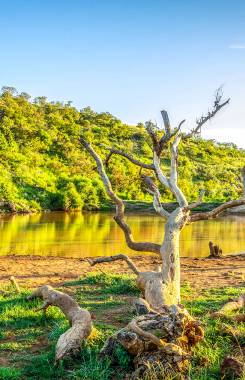 Sudáfrica, Madikwe Game Reserve