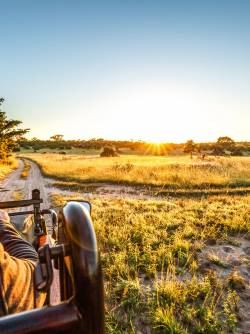 South Africa, Sabi Sand Game Reserve