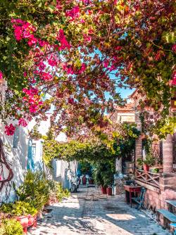 Greece, Aegean Islands, Rhodes, Koskinou