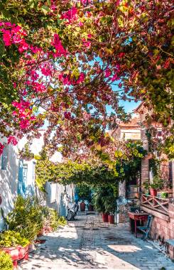 Greece, Aegean Islands, Rhodes, Koskinou