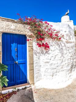 Greece, Aegean Islands, Rhodes, Lachania