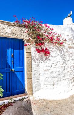 Greece, Aegean Islands, Rhodes, Lachania