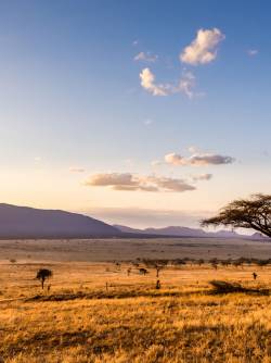 Kenya