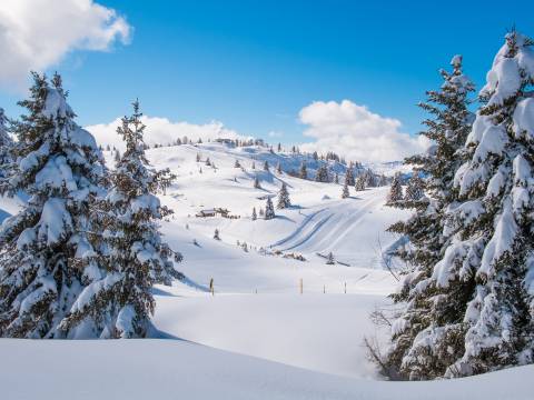 Landscape of Chamonix