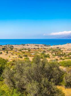 Greece, Crete, Heraklion, Pitsidia