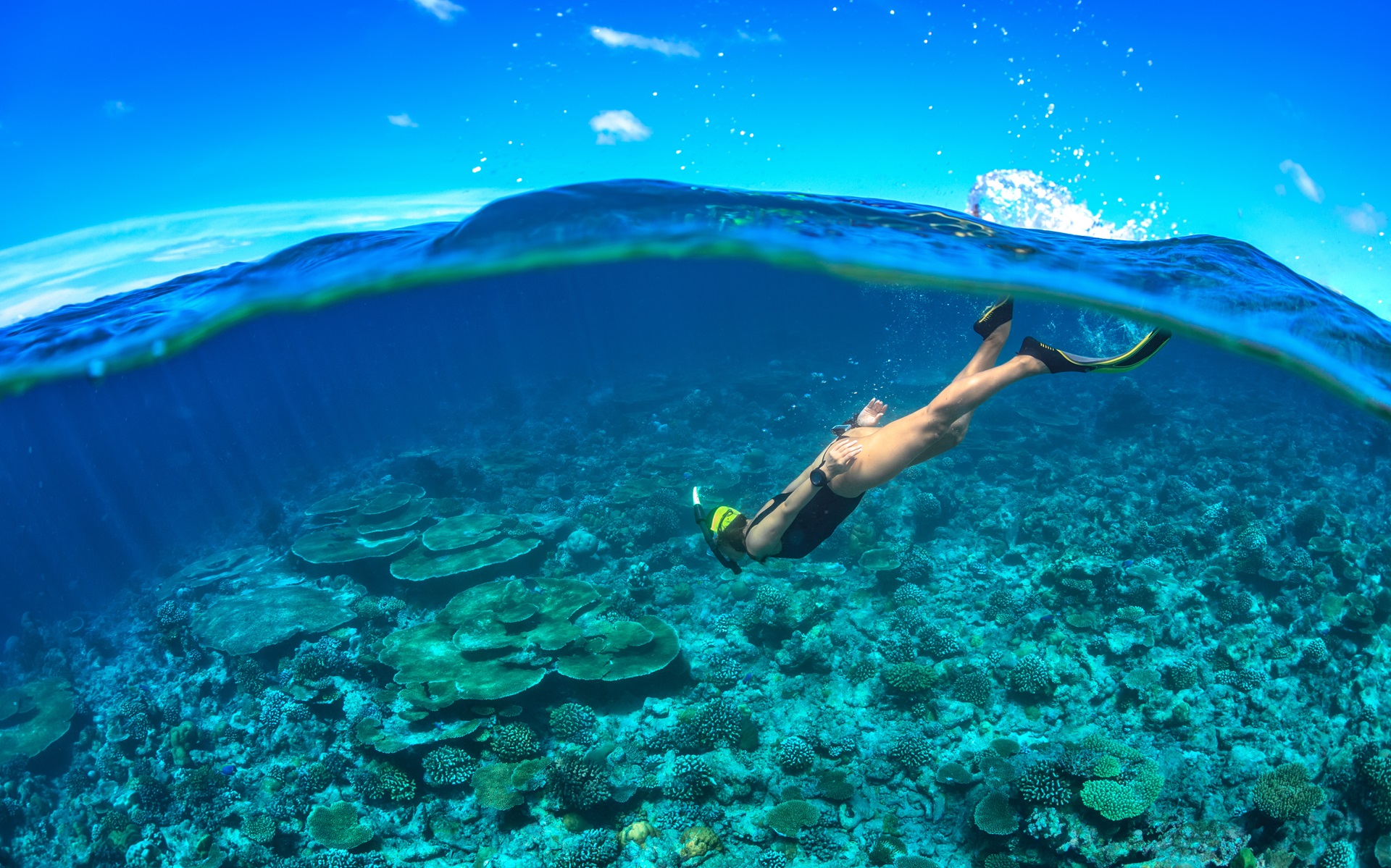 Best Snorkelling Spots In The Caribbean