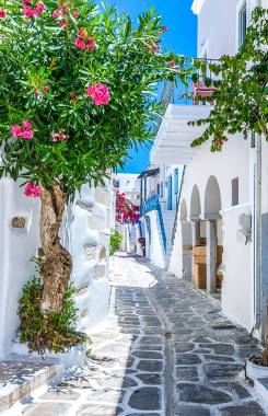 Griechenland, Ägäische Inseln, Paros, Parikia