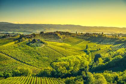 Italy, Tuscany, Chianti Area