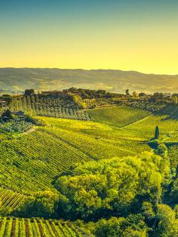 Italy, Tuscany, Chianti Area