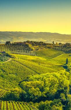 Italy, Tuscany, Chianti Area