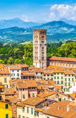 Italy, Tuscany, Lucca Area