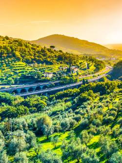 Italy, Tuscany, Pistoia Area, Monsummano Terme