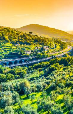 Italy, Tuscany, Pistoia Area, Monsummano Terme