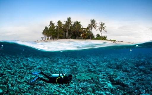 scuba diving diver below coconut island bali lombok sulawesi
