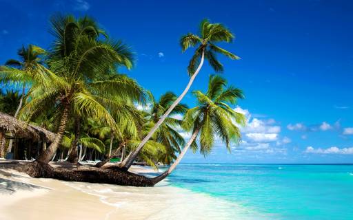 Top Beaches In Caribbean