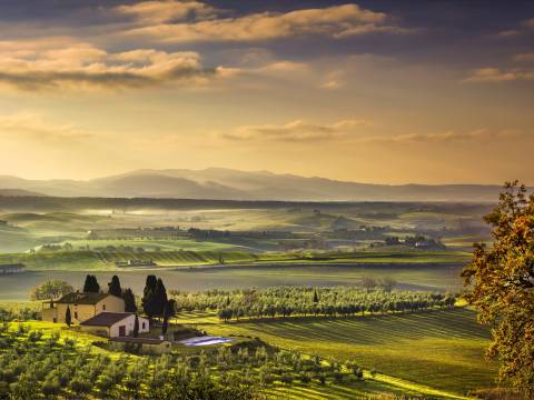 Landscape of Tuscany