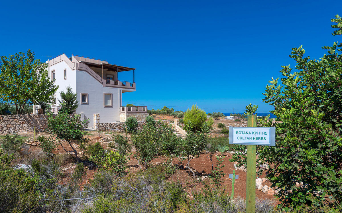 Cretan Vineyard Hill Villa - Grecia, Creta, Heraklion