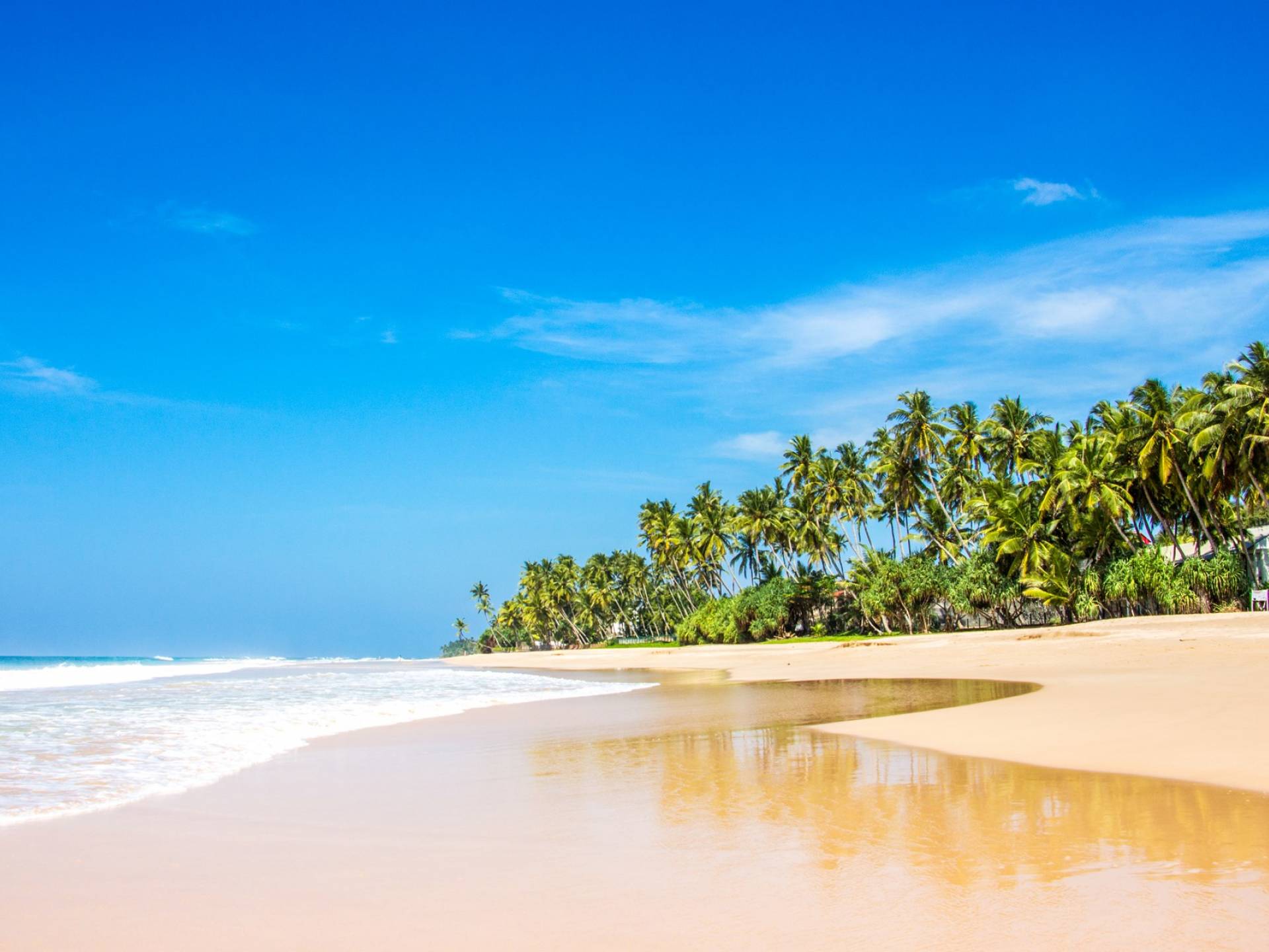 Берег шри ланки. Хабарадува Шри Ланка. Пляж Хабарадува Шри Ланка. Мирисса Шри Ланка. Пляж Михирипенна Шри Ланка.