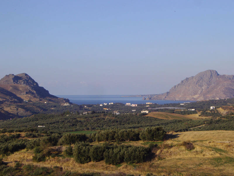 The NEST Suite at ELIVI NEST Grove Rooms, Villas & Suites Skiathos - Griechenland, Skiathos