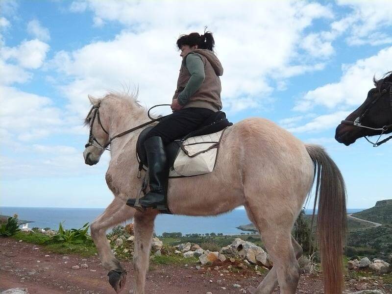 Apartment Houghton Steps Cape Town - Νότια Αφρική, Κέιπ Τάουν