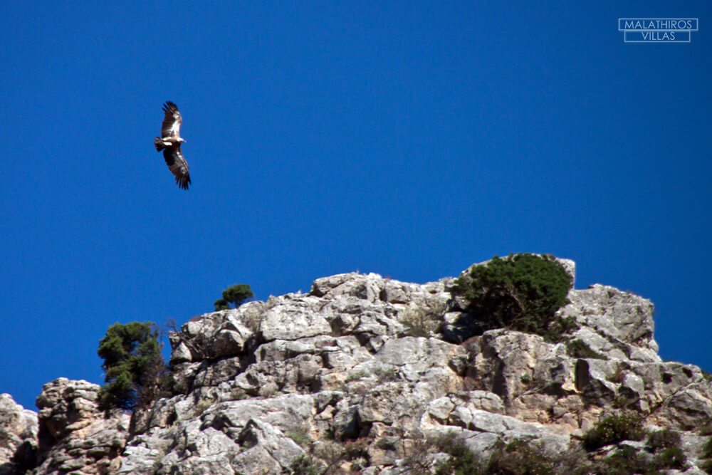 Villa Kaymaros Zakynthos - Grecia, Zante