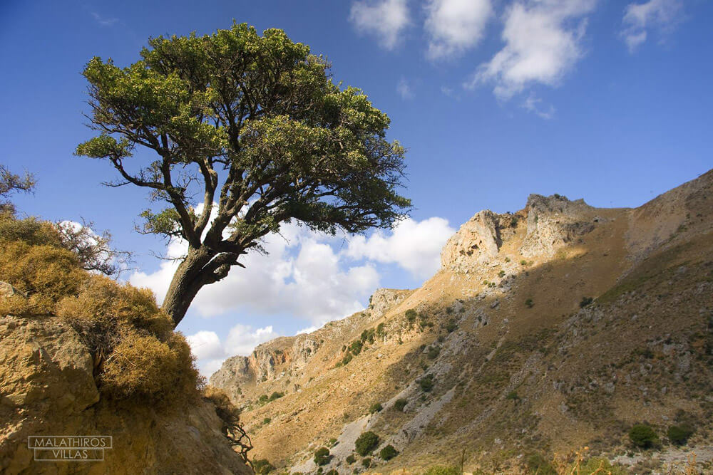 Villa Altana Chania - Griechenland, Kreta, Chania