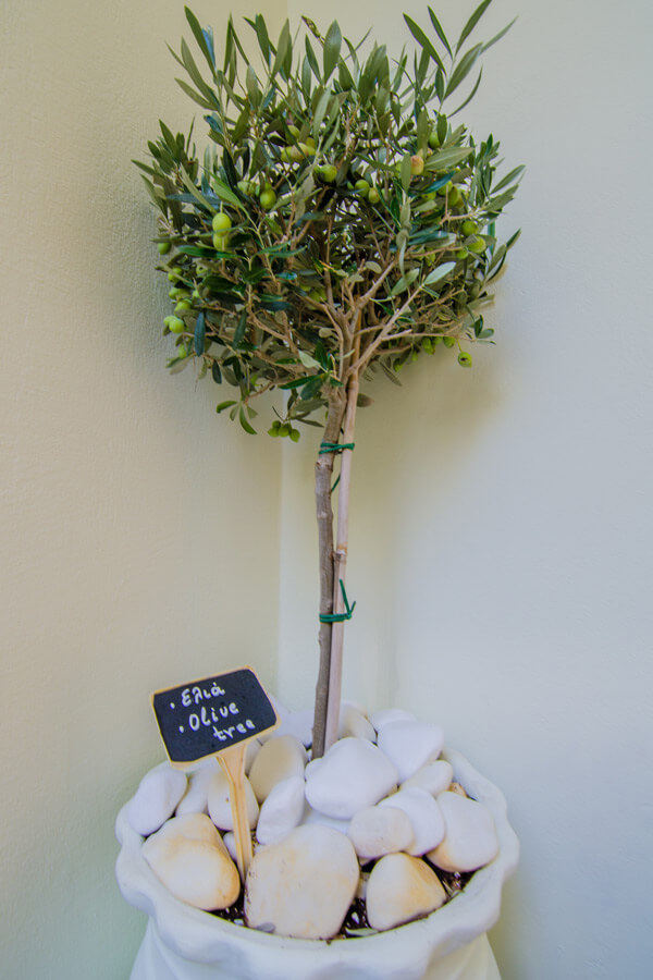 Villa Petradi Crete - Griechenland, Kreta, Rethymnon